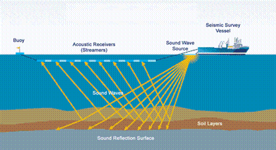 Seismic Surveys | FishSAFE